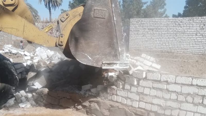 ارشيفية