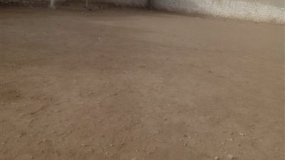 استجابة لـنيوز روم تنظيف ملعب مركز شباب جزيرة نكلا بالبحيرة