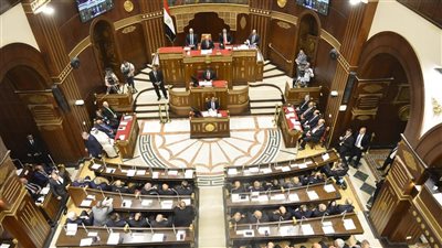 عضو الشيوخ: دعم الإنتاج المحلي حجر أساس للاكتفاء الذاتي وحماية الأسواق