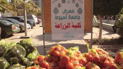 جامعة أسيوط تفتتح معرض «أهلاً رمضان 1447هـ – 2026م» لدعم منتسبيها 