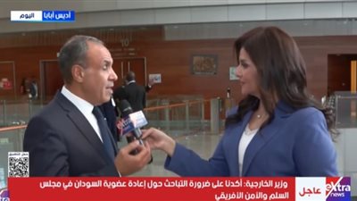 بدرعبد العاطي: لا للحلول العسكرية.. ووحدة الدولة الوطنية خط أحمر في أفريقيا