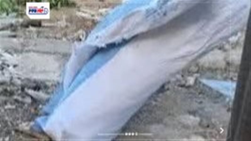 صورة من الحادث في