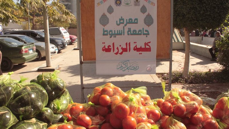 صورة واقعيه