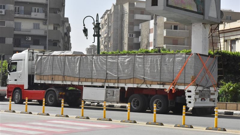 صورة واقعيه