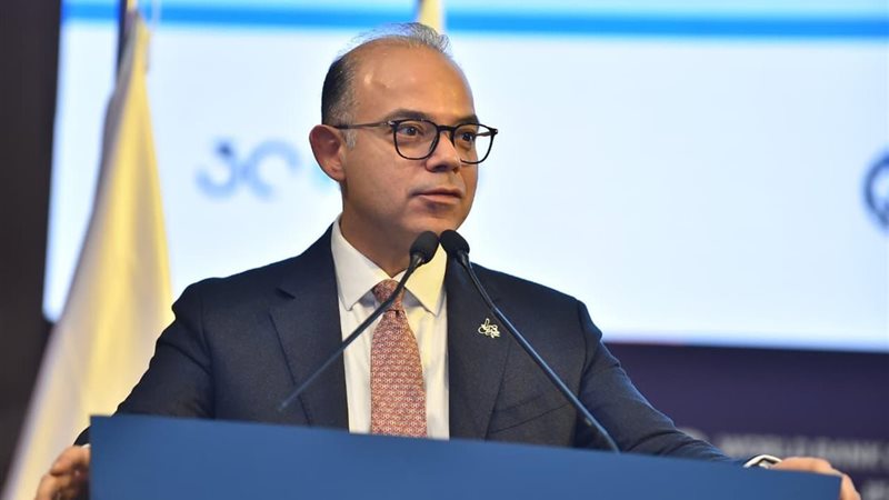 وزير الاستثمار