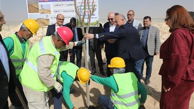 محافظ بنى سويف يتابع تنفيذ مشروع الحزام الأخضر ضمن المبادرة الرئاسية للتشجير