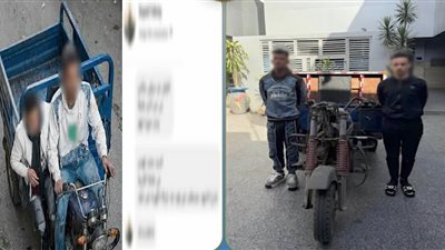 «الأمن» يكشف لغز سرقة تروسيكل بطنطا ويعيد المركبة لمالكها