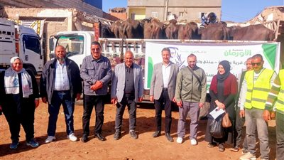 إحتفالية لتوزيع عدد 50 رأس ماشية عشار للأسر الأولى بالرعاية بالشرقية