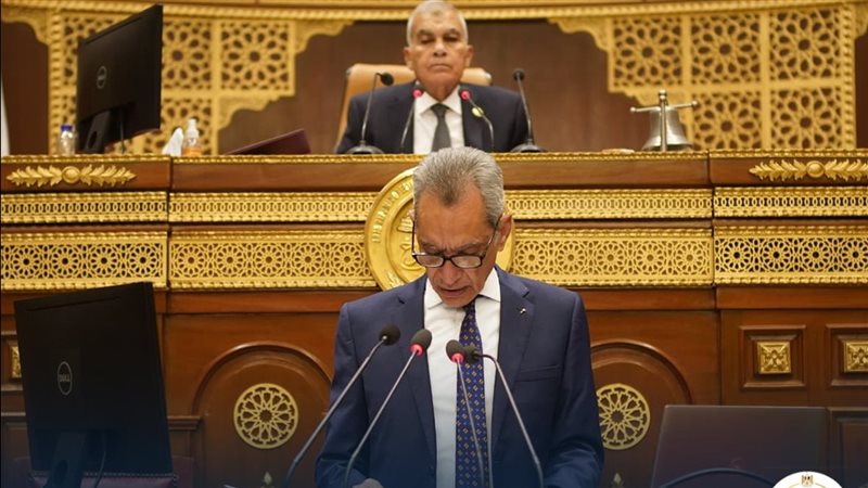 المستشار هاني حنا،