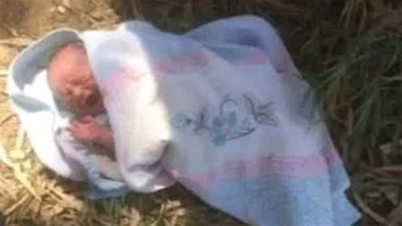 العثور على رضيع -