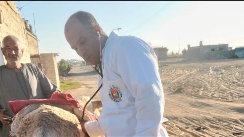  مديرية الطب البيطري
