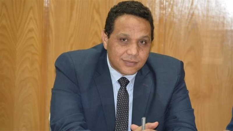 ولاء جاد الكريم