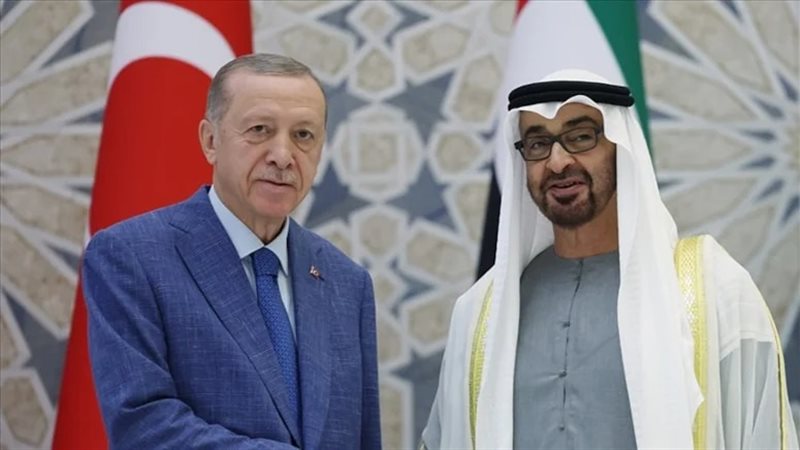 أردوغان وبن زايد