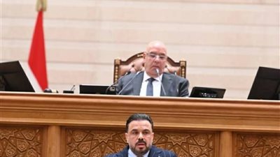 لجنة شباب النواب: تفتح ملف التعصب الرياضي ودور شركة المدن وصناديق التمويل  