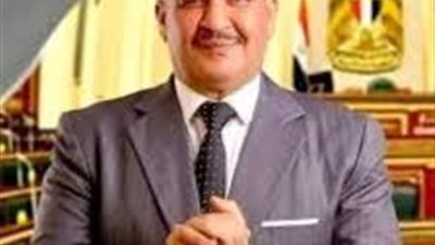 النائب محمود المنوفي: تعديلات سجل المستوردين في توقيت هام لضبط الاستيراد 