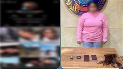 القبض على صانعة محتوى في القاهرة لاتهامها بالرقص بصورة خادشة للحياء