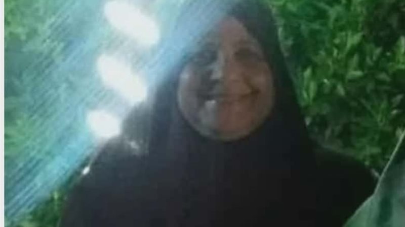 السيدة المسنة 