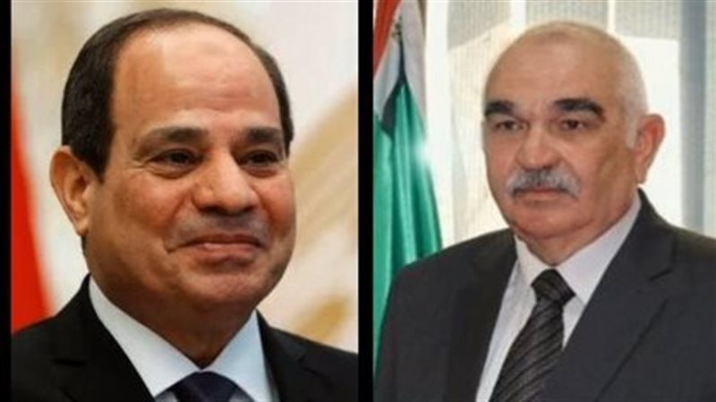 المستشار الدكتور