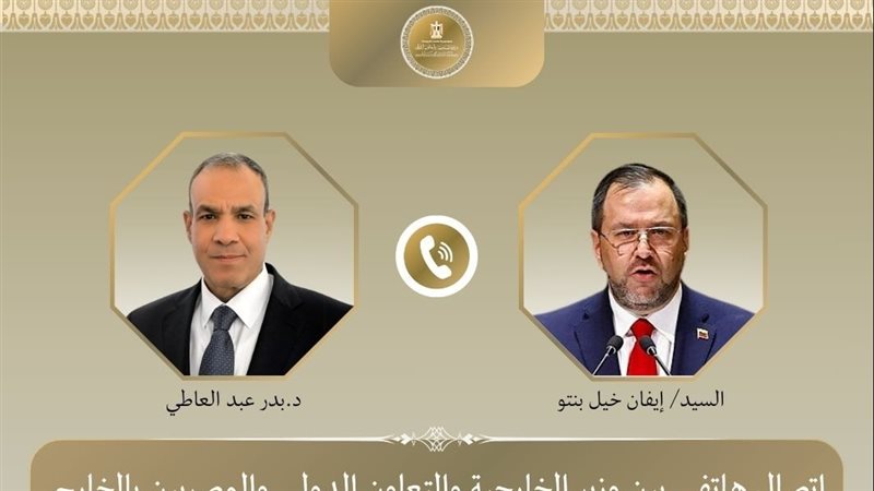 وزيرا خارجية مصر