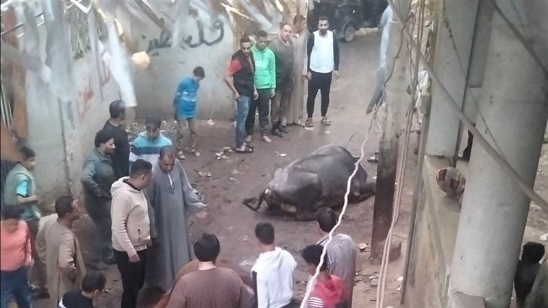 لحظة الحادث