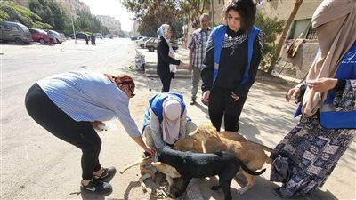 تحصين 85 كلبًا ضالًا وتوعية المواطنين في حملة موسعة بمدينة العبور