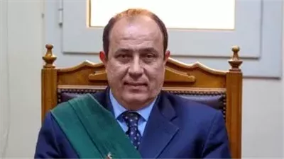 اليوم.. استكمال محاكمة 29 متهما في خلية الهيكل الإداري بالهرم 