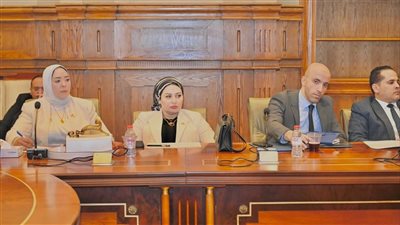 شيرين صبري: المجالس المحلية مدرسة لإعداد قيادات جديدة ودعم مشاركة الشباب