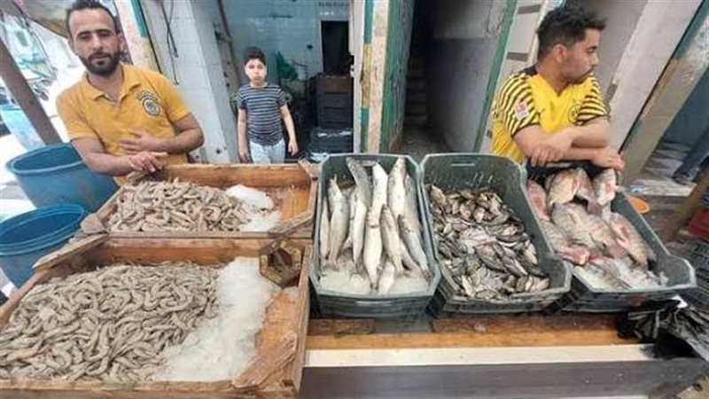 أسعار السمك اليوم