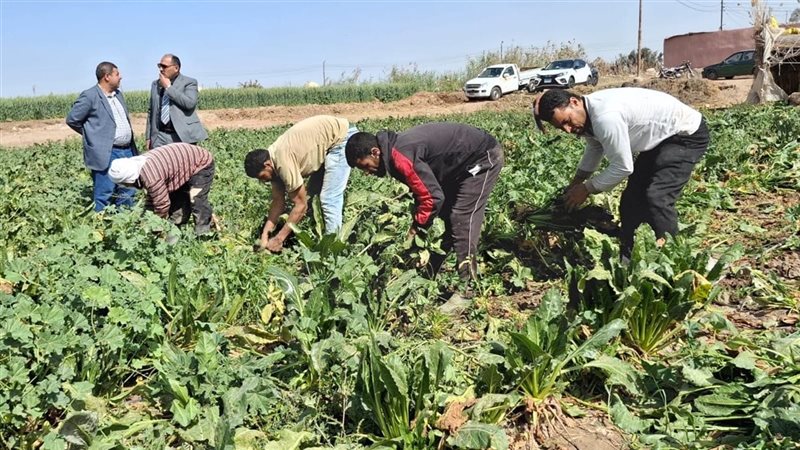 مديرية الزراعة بالإسماعيلية