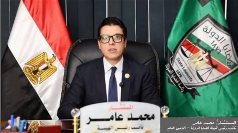 المستشار محمد عامر