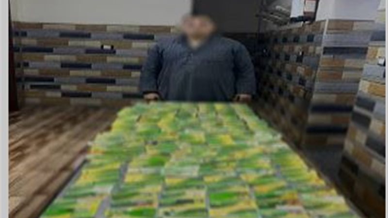ضبط  730 بطاقة تموينية