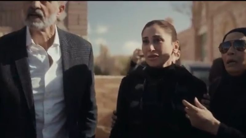 دينا الشربيني