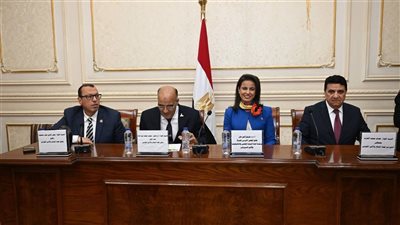 القومي للمرأة يشارك في اجتماع لجنة الدفاع والأمن القومي بمجلس الشيوخ 