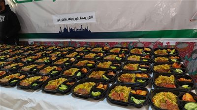 الإسماعيلية: إطلاق حملة 