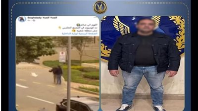 المتهم أمام النيابة: طلبت استبعاد فرد الأمن.. ولما عاد استفزني فتعديت عليه