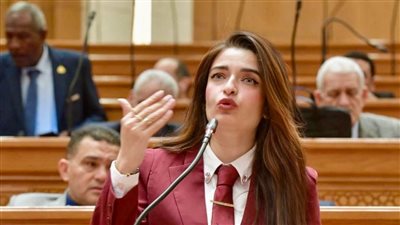 إيرين سعيد تستعرض مطالب تعزيز الدور الرقابي للمعارضة خلال لقائها برئيس المجلس