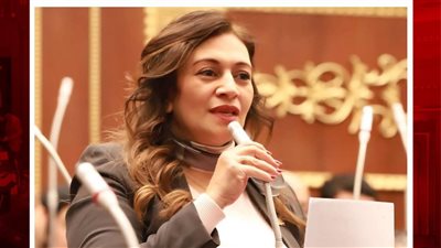 نيفين فارس تتقدم بدراسة أثر تشريعي حول قانون العقوبات بشأن العنف الأسري