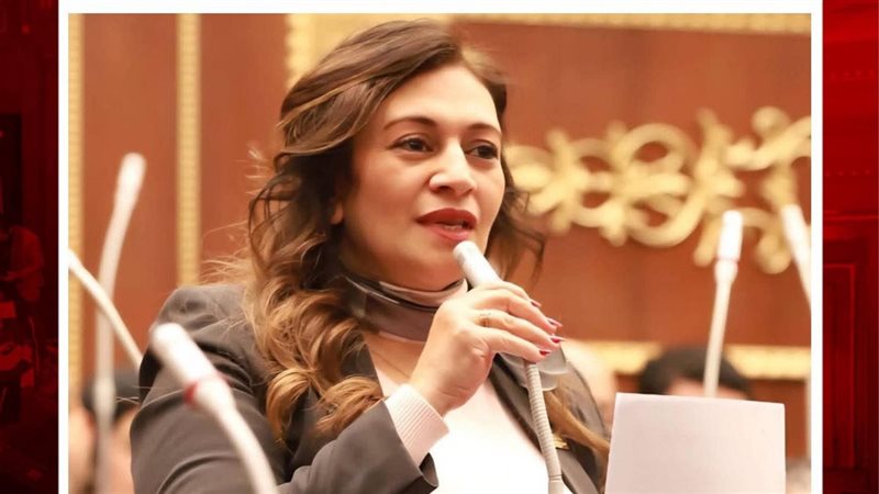 النائبة نيفين فارس