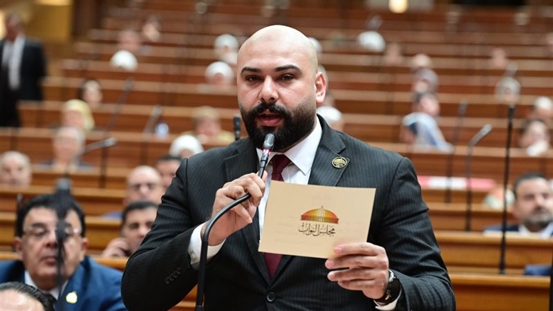 إبراهيم الديب