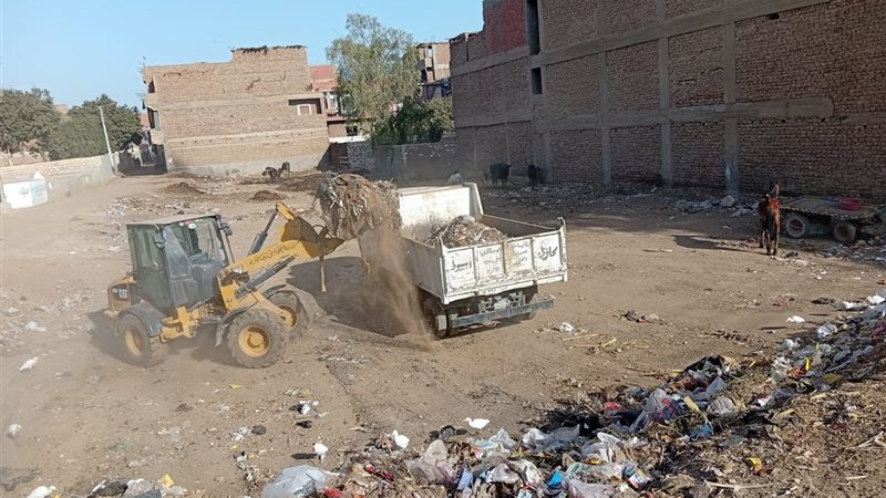 صورة واقعيه