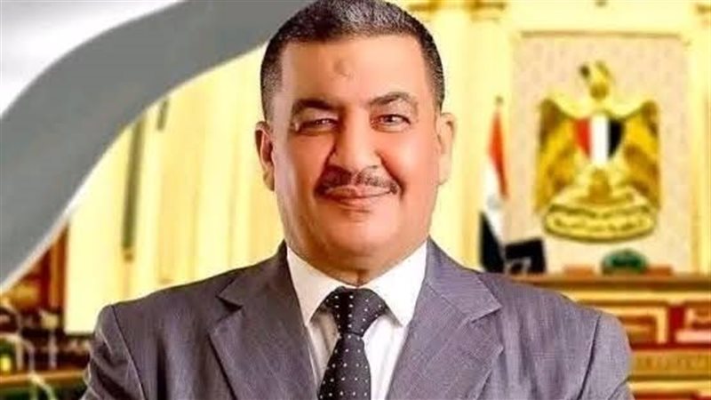 محمود المنوفي