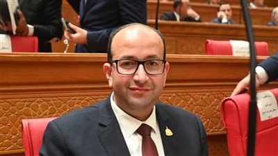 عمرو عويضة: تصريحات السفير الأمريكي مرفوضة وتتناقض مع قواعد القانون الدولي