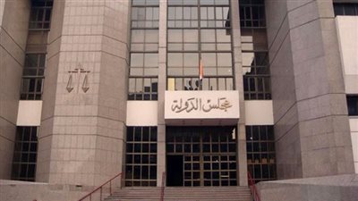 16 مايو.. نظر دعوى لإلغاء تطبيق السعر الموحد على عداد كهرباء كودي
