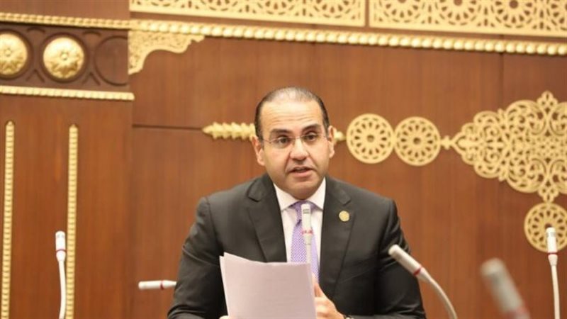 النائب المهندس محمد
