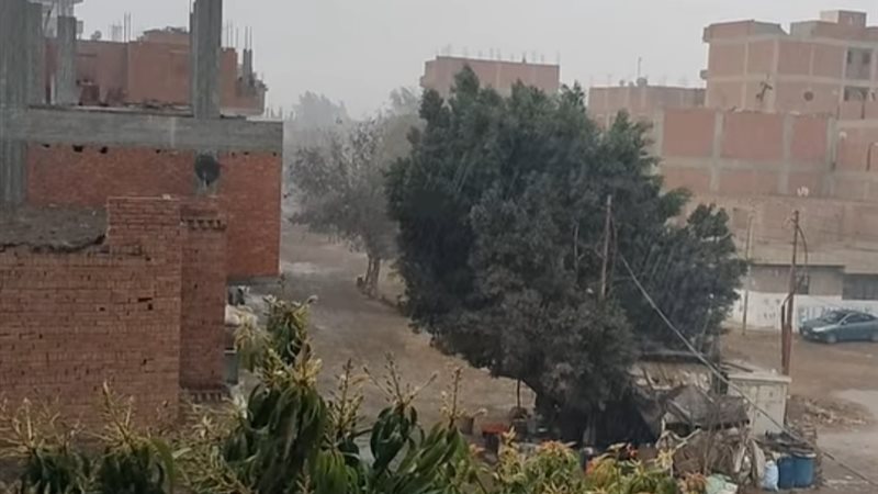الشرقية