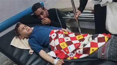 10 كـلاب تفتـرس صغيرا  كاد أن يودي بحياتة أمام منزلة بالبحيرة