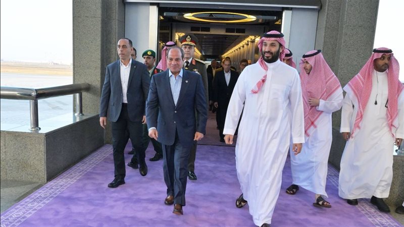 الرئيس السيسي ومحمد