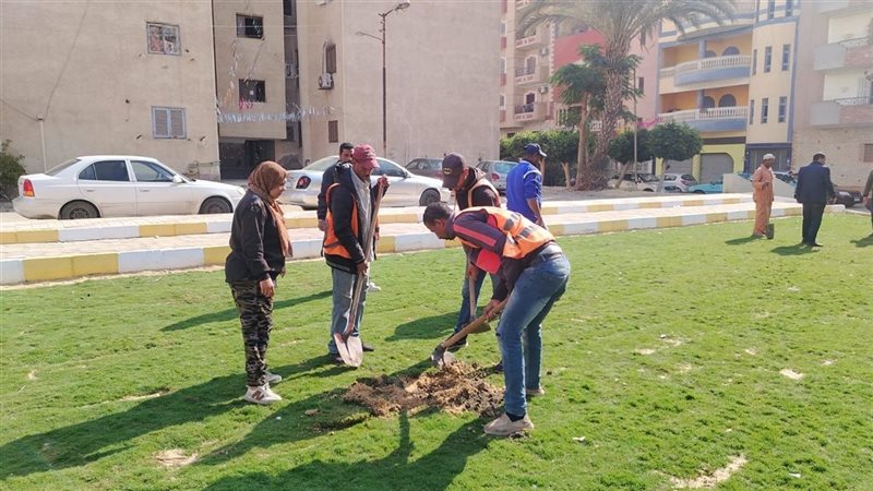 زراعة بوانسيانا وأكاسيا