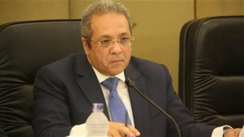 المستشار أحمد حلمى