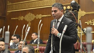 مجدي البري: قمة السيسي وبن سلمان ترسخ محور الاستقرار العربي وتوحد الرؤى